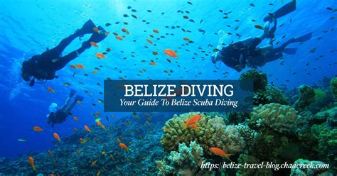 scuba diving trips to belize.